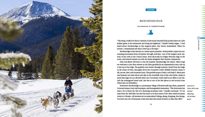 Fifty Places To Travel With Your Dog...