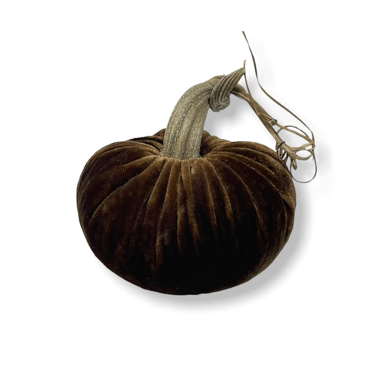 Velvet Pumpkin Acorn